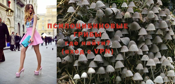 дурь Киреевск