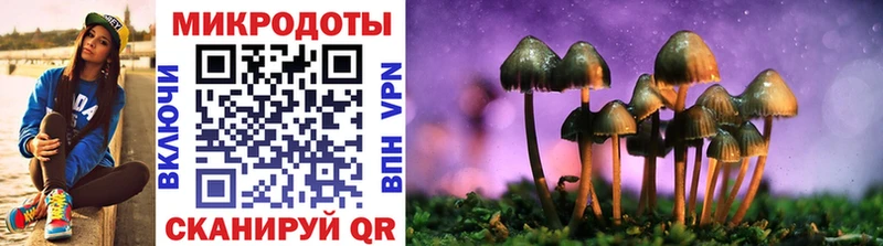 Купить  Ряжск  Псилоцибиновые грибы мицелий 